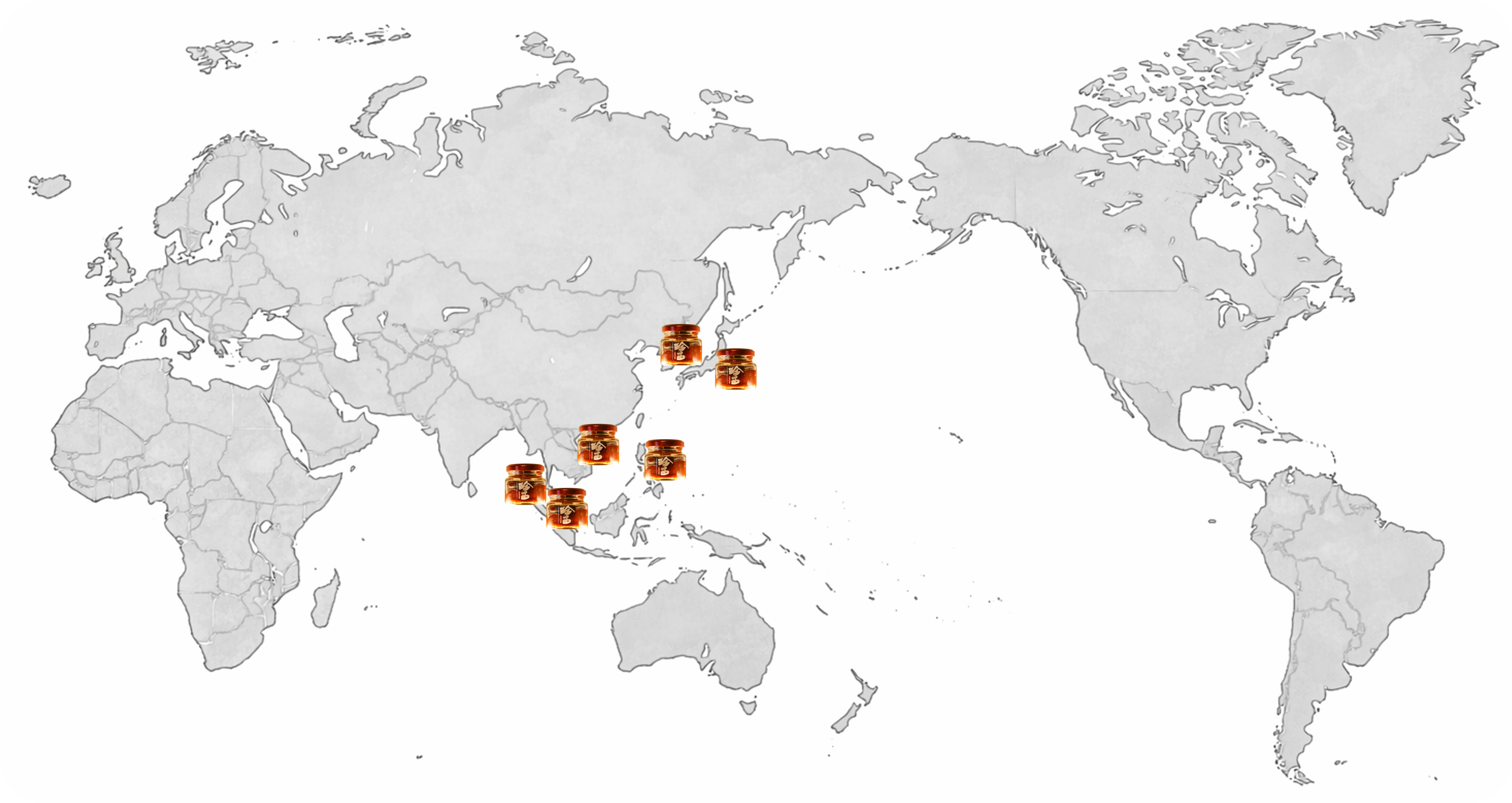 珍玉の販売実績を示した世界地図